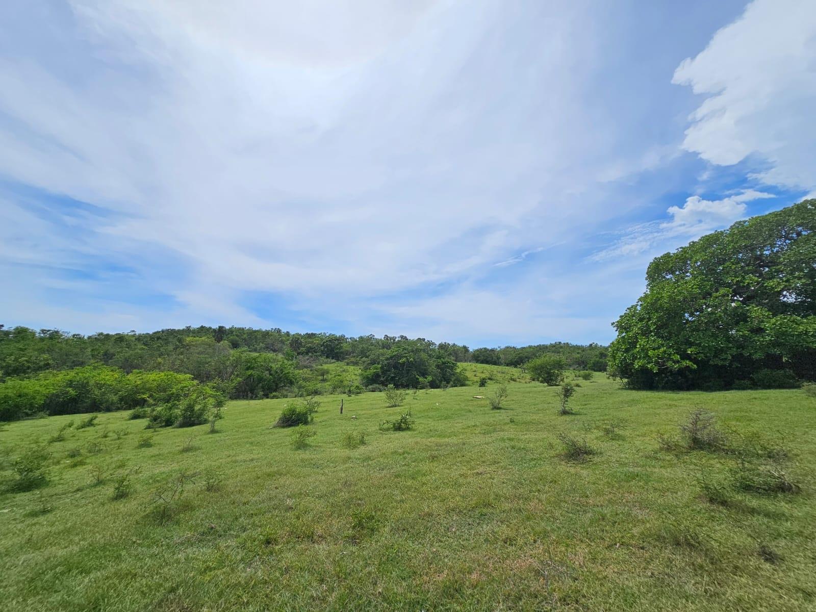 Third image of Friendship in Friendship, St. Elizabeth, Jamaica - property is For Sale