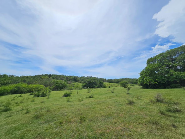 Third image of Friendship in Friendship, St. Elizabeth, Jamaica - property is For Sale