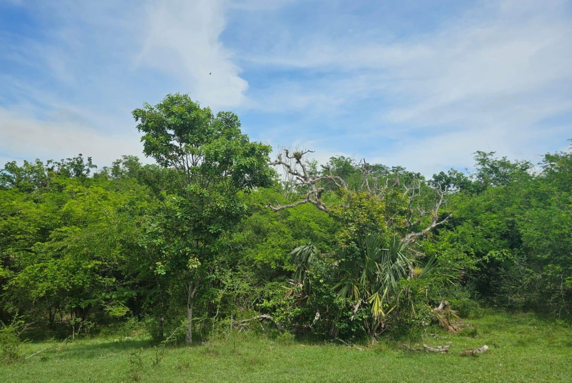 Fourth image of Friendship in Friendship, St. Elizabeth, Jamaica - property is For Sale