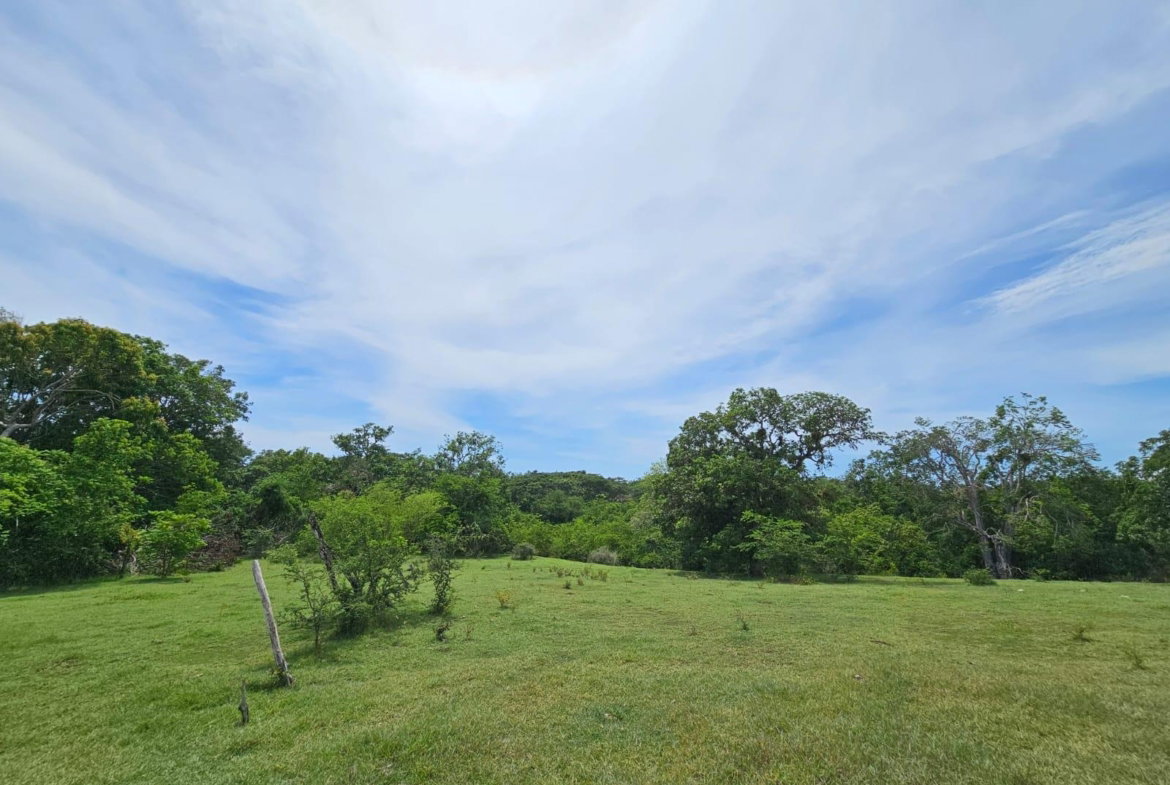 Fifth image of Friendship in Friendship, St. Elizabeth, Jamaica - property is For Sale