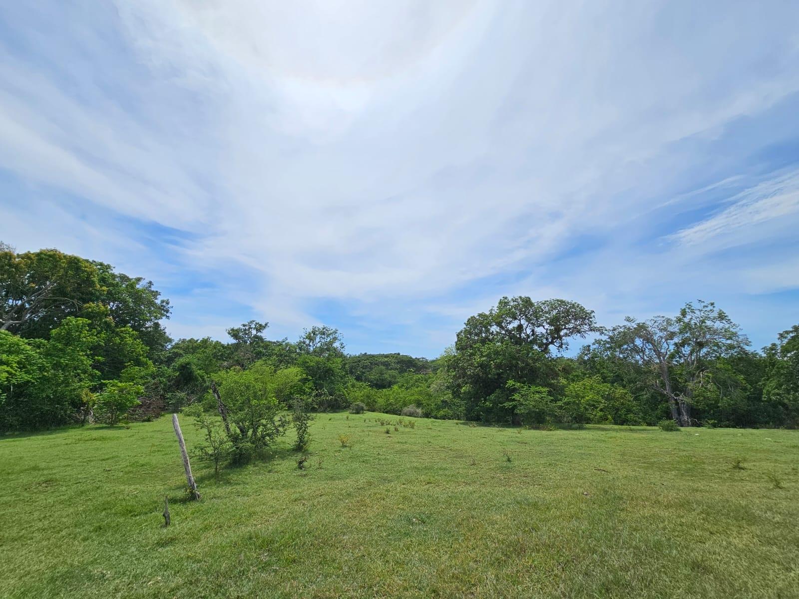 Fifth image of Friendship in Friendship, St. Elizabeth, Jamaica - property is For Sale