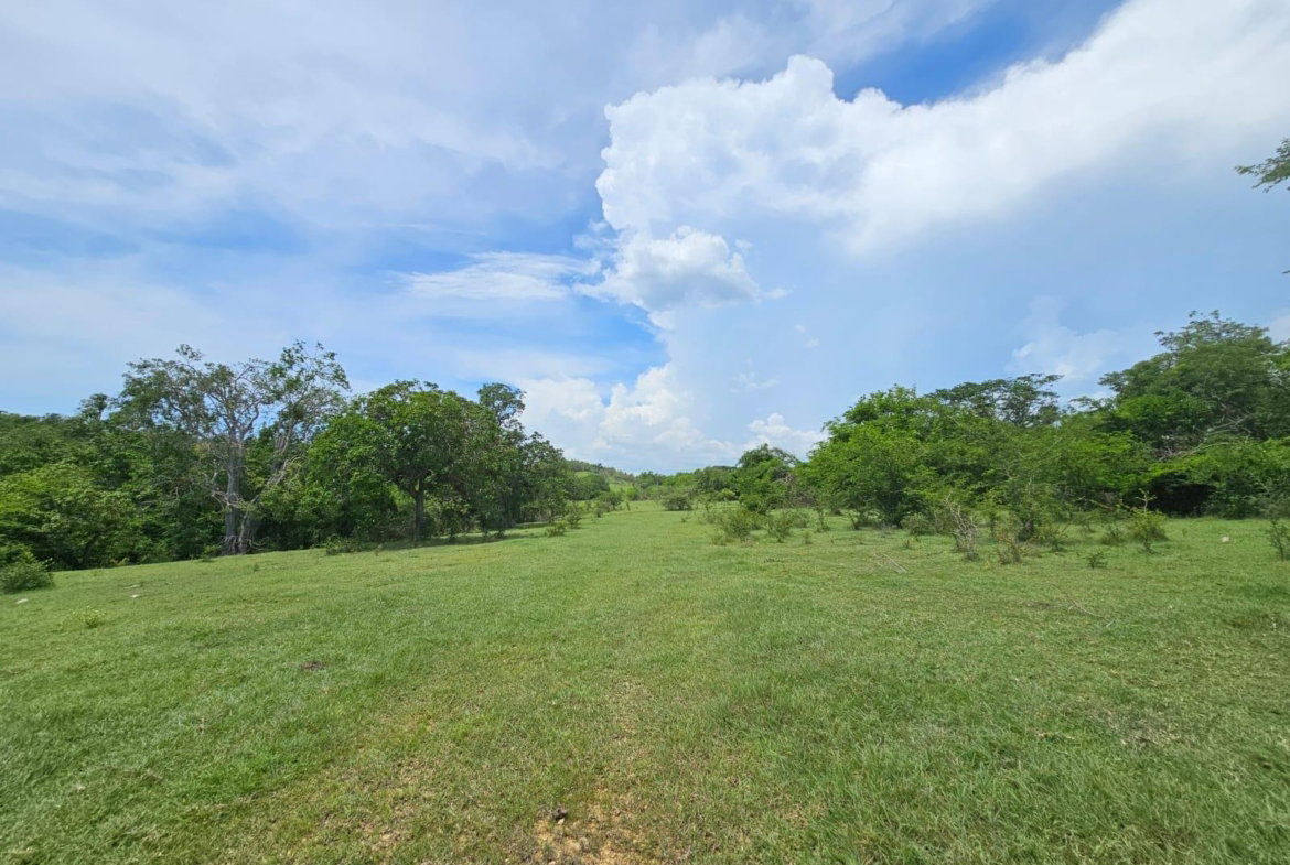 Sixth image of Friendship in Friendship, St. Elizabeth, Jamaica - property is For Sale