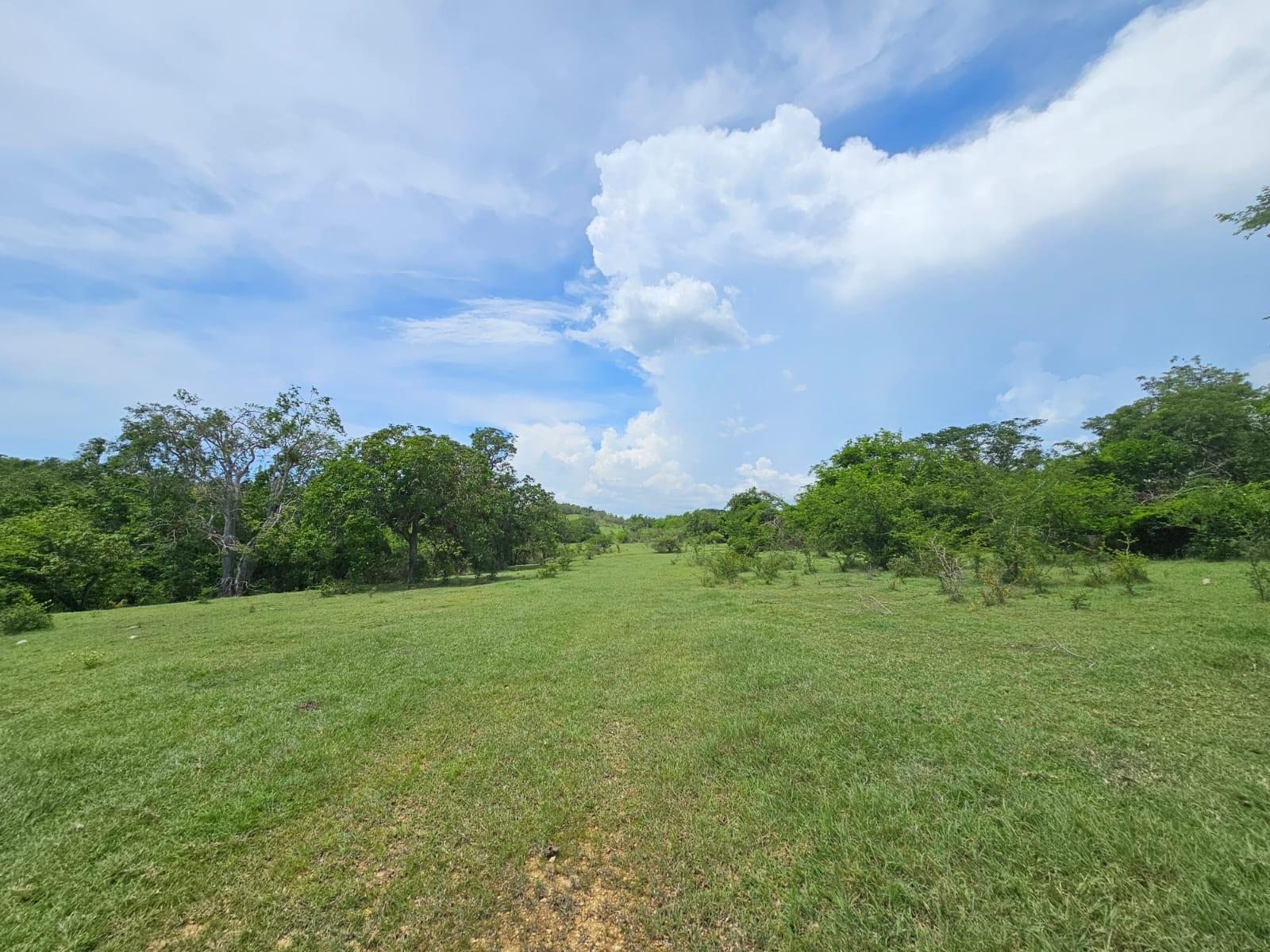 Sixth image of Friendship in Friendship, St. Elizabeth, Jamaica - property is For Sale