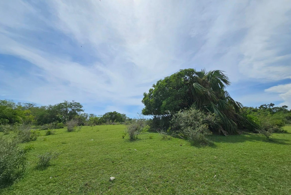 Seventh image of Friendship in Friendship, St. Elizabeth, Jamaica - property is For Sale