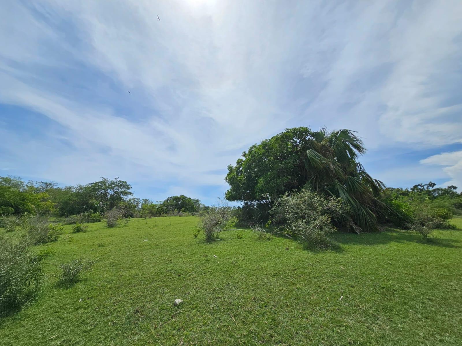 Seventh image of Friendship in Friendship, St. Elizabeth, Jamaica - property is For Sale