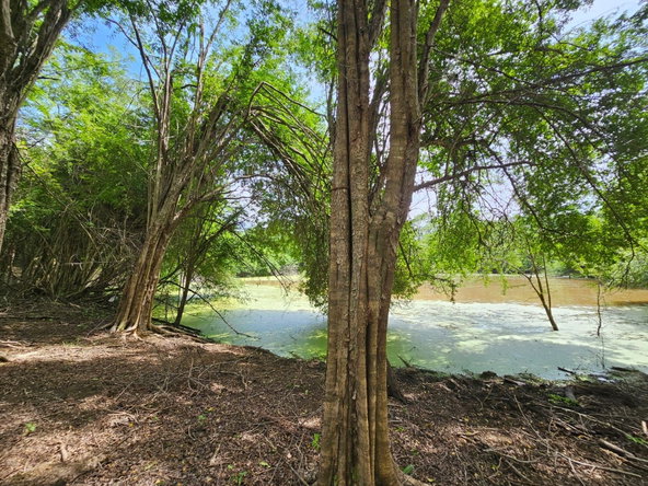 Ninth image of Friendship in Friendship, St. Elizabeth, Jamaica - property is For Sale