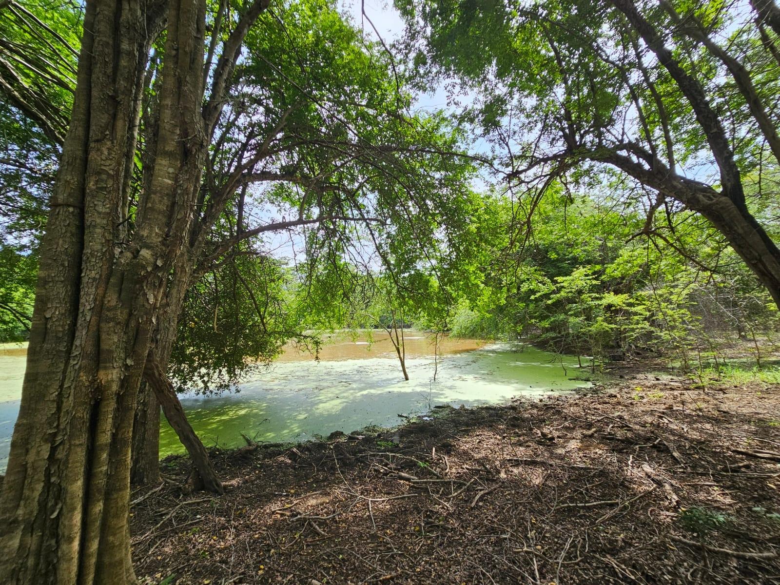 Tenth image of Friendship in Friendship, St. Elizabeth, Jamaica - property is For Sale