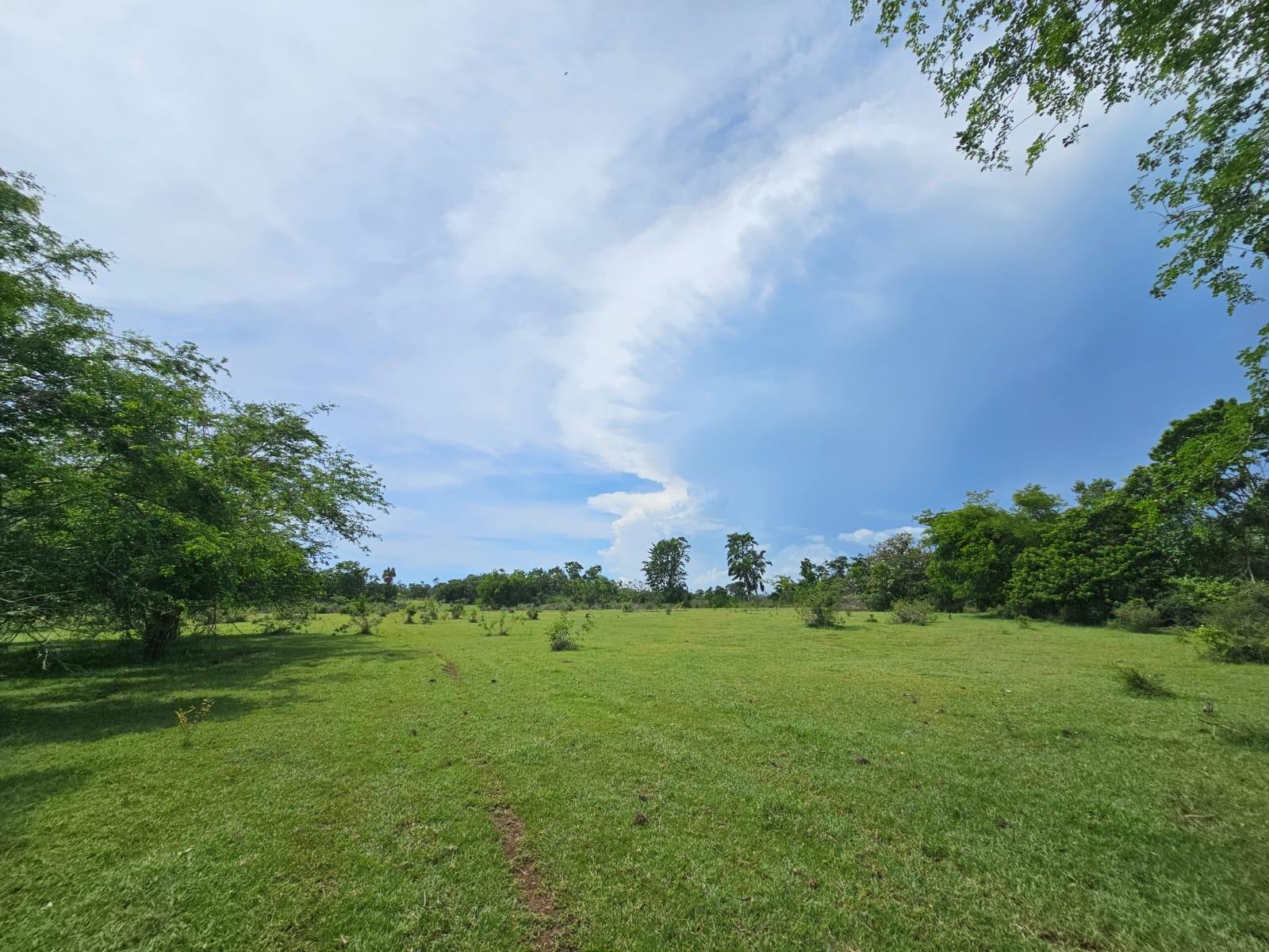 First image of Friendship in Friendship, St. Elizabeth, Jamaica - property is For Sale