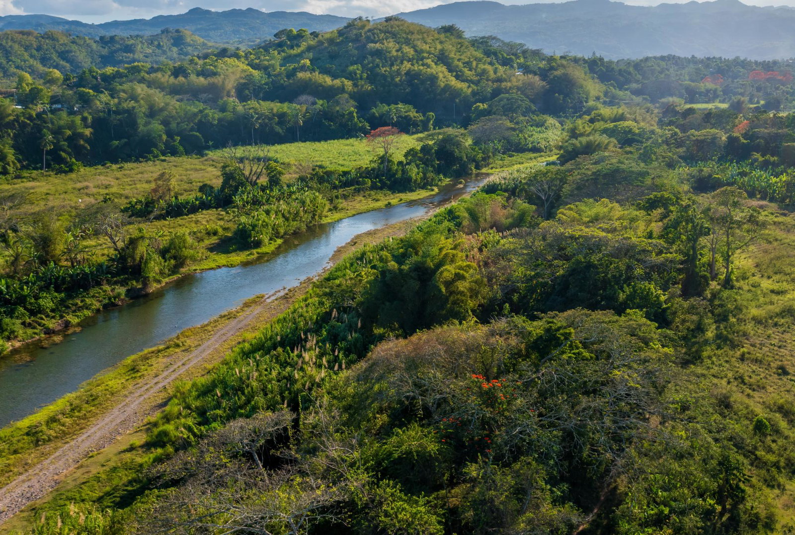 First image of Morgans Valley, Clarendon in Morgans Pass, Clarendon, Jamaica - property is For Sale