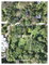 First image of 8b Hermosa Lane in Ocho Rios, St. Ann, Jamaica - property is For Sale