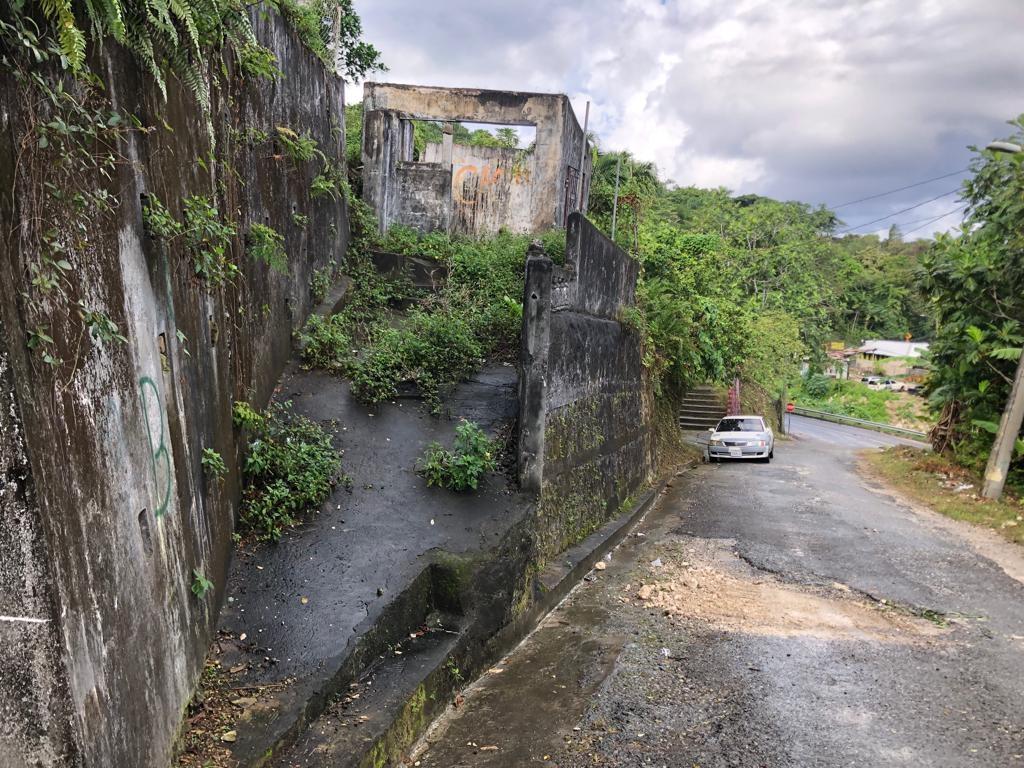 Second image of Johnnies Hill Road in Boundbrook, Portland, Jamaica - property is For Sale