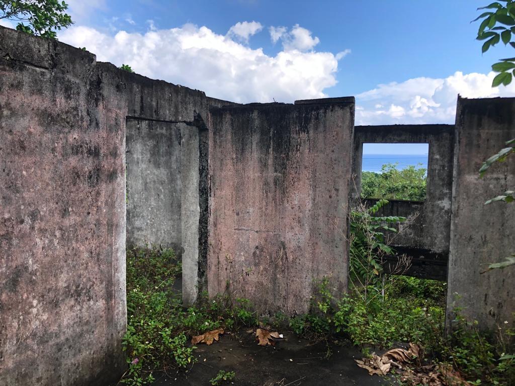 Eleventh image of Johnnies Hill Road in Boundbrook, Portland, Jamaica - property is For Sale