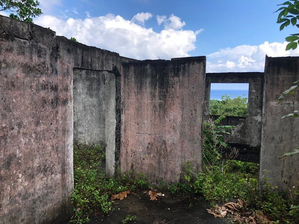 Eleventh image of Johnnies Hill Road in Boundbrook, Portland, Jamaica - property is For Sale