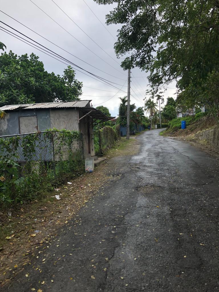Thirteenth image of Johnnies Hill Road in Boundbrook, Portland, Jamaica - property is For Sale