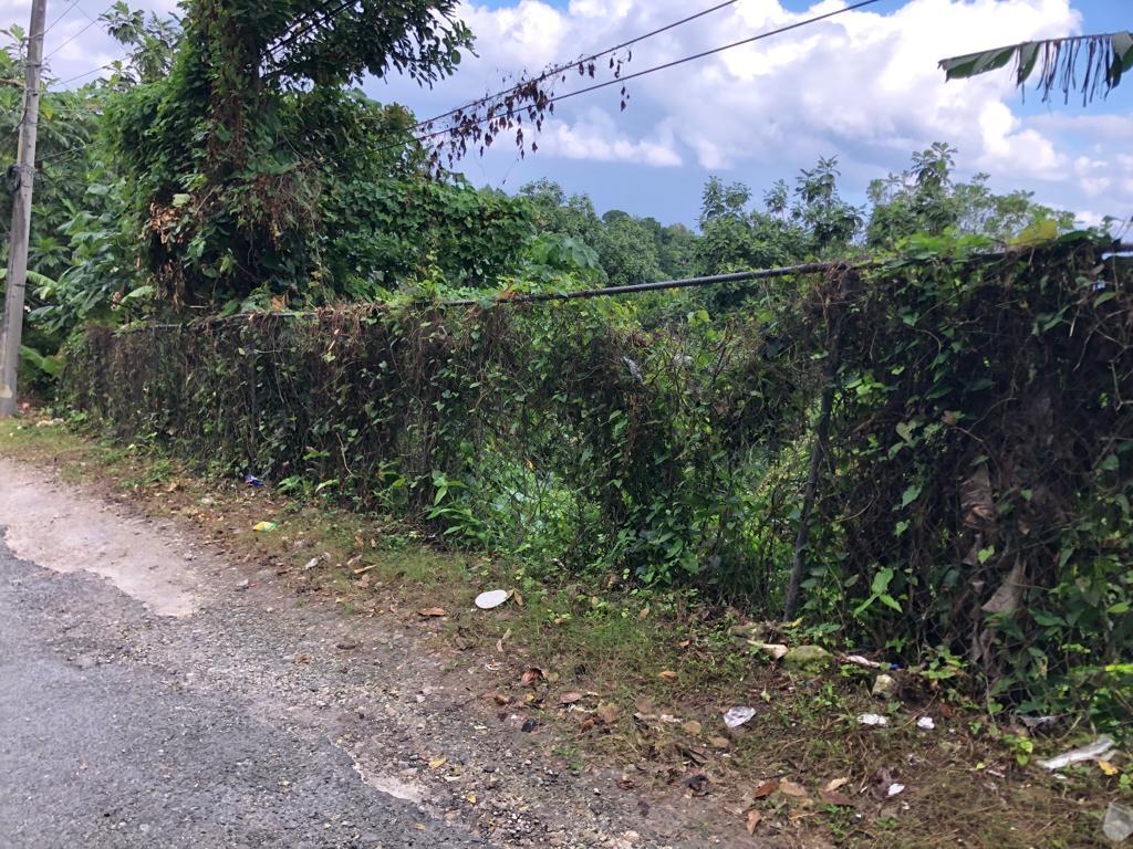 Fourteenth image of Johnnies Hill Road in Boundbrook, Portland, Jamaica - property is For Sale
