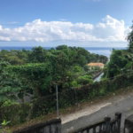 First image of Johnnies Hill Road in Boundbrook, Portland, Jamaica - property is For Sale