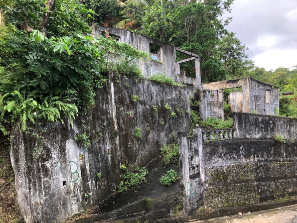 Third image of Johnnies Hill Road in Boundbrook, Portland, Jamaica - property is For Sale