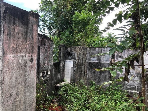 Fifth image of Johnnies Hill Road in Boundbrook, Portland, Jamaica - property is For Sale