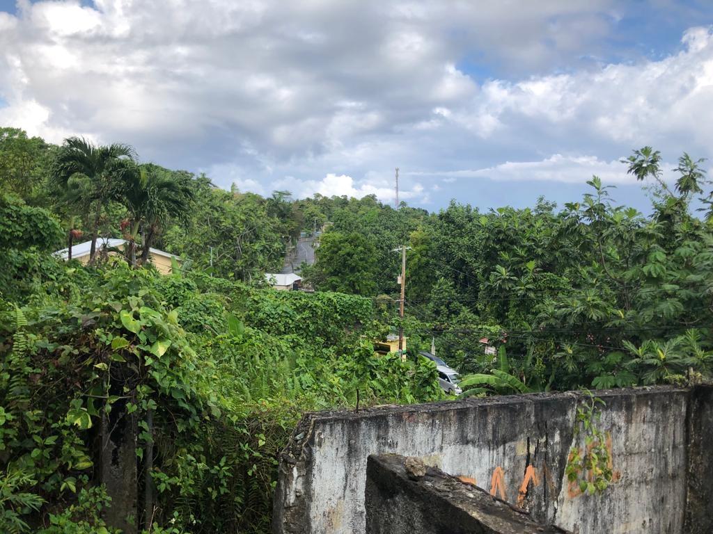 Sixth image of Johnnies Hill Road in Boundbrook, Portland, Jamaica - property is For Sale
