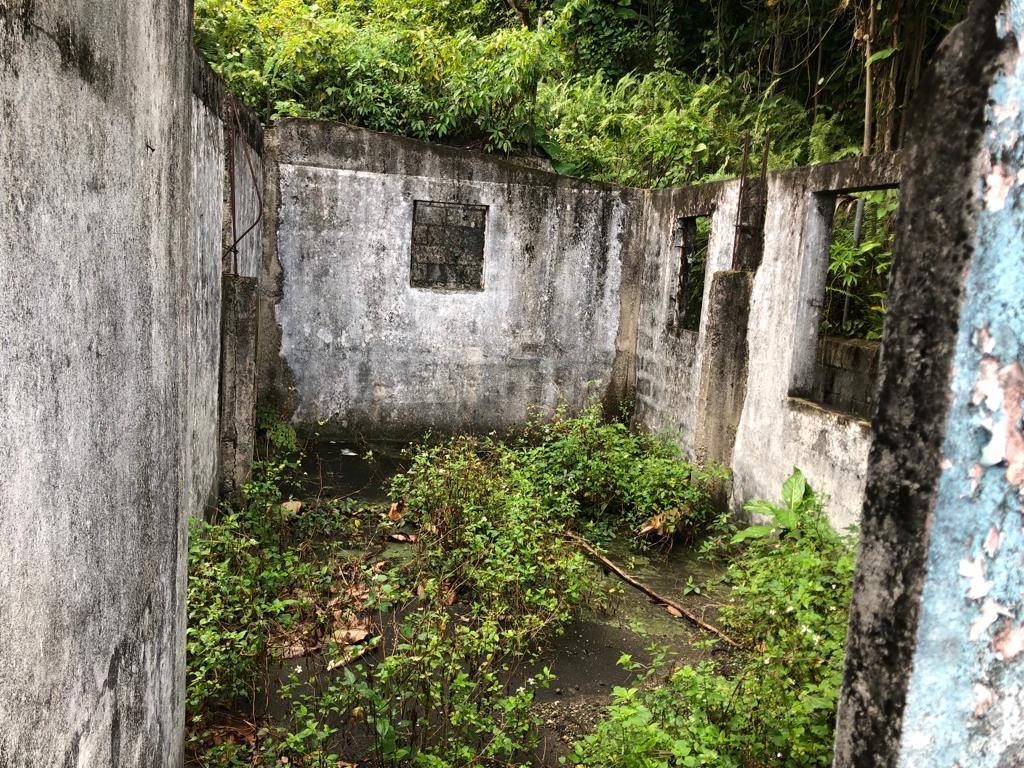 Seventh image of Johnnies Hill Road in Boundbrook, Portland, Jamaica - property is For Sale