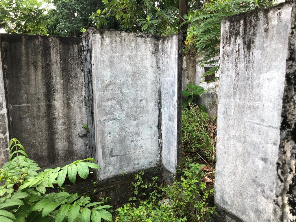 Eighth image of Johnnies Hill Road in Boundbrook, Portland, Jamaica - property is For Sale