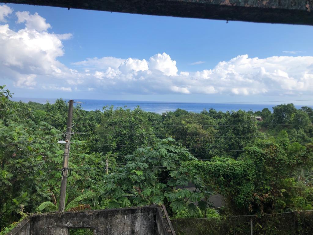 Ninth image of Johnnies Hill Road in Boundbrook, Portland, Jamaica - property is For Sale