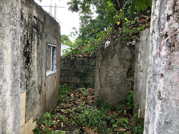 Tenth image of Johnnies Hill Road in Boundbrook, Portland, Jamaica - property is For Sale