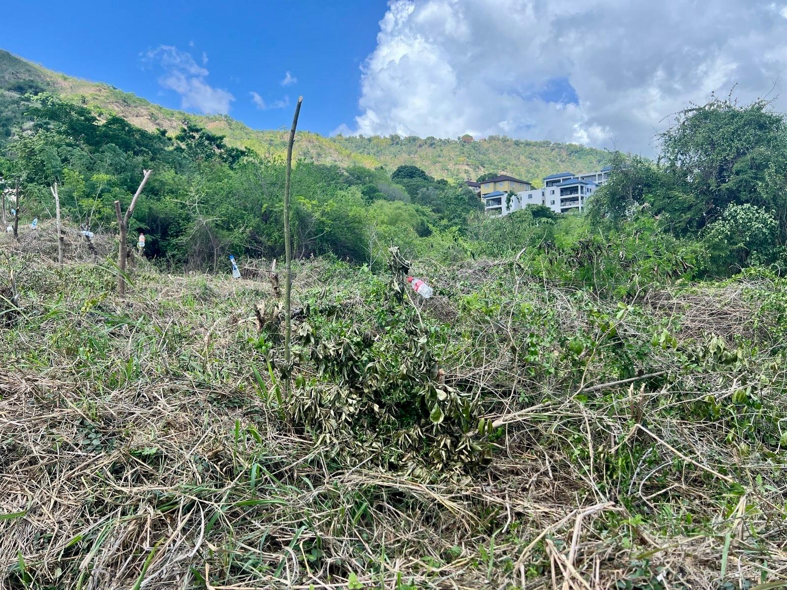 Third image of Lot 7b Barbican Heights in Kingston 6, St. Andrew, Jamaica - property is For Sale
