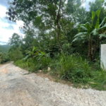 First image of Pegasus Place in Kingston 19, St. Andrew, Jamaica - property is For Sale