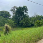 First image of 46 Grierfield in Moneague, St. Ann, Jamaica - property is For Sale