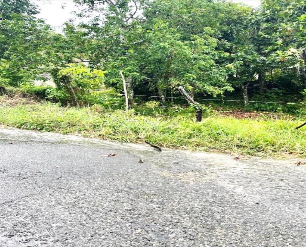 Fourth image of 46 Grierfield in Moneague, St. Ann, Jamaica - property is For Sale