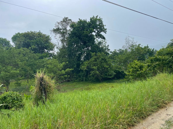 First image of 46 Grierfield in Moneague, St. Ann, Jamaica - property is For Sale