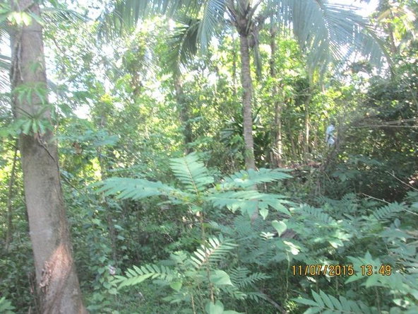 Third image of Cromwell Rd, Highgate st in Highgate, St. Mary, Jamaica - property is For Sale
