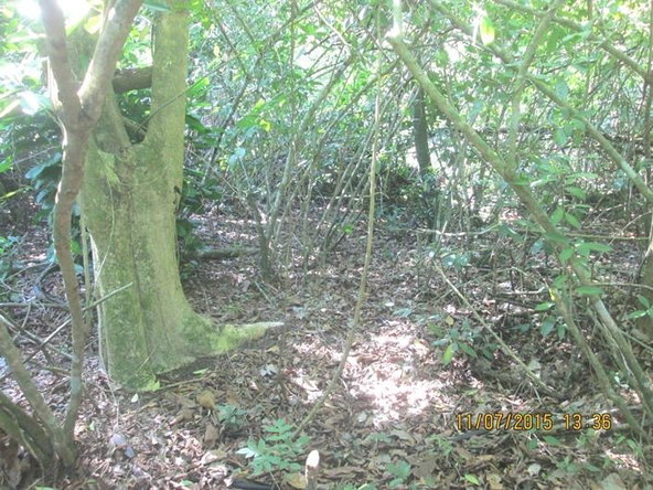 Fourth image of Cromwell Rd, Highgate st in Highgate, St. Mary, Jamaica - property is For Sale