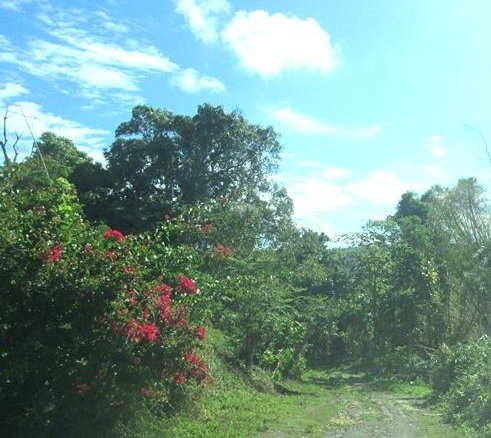 First image of Cromwell Rd, Highgate st in Highgate, St. Mary, Jamaica - property is For Sale