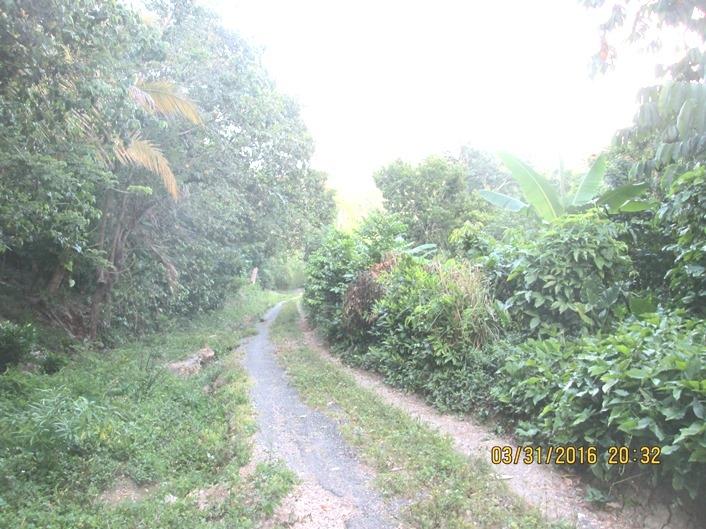 Seventh image of Cromwell Rd, Highgate st in Highgate, St. Mary, Jamaica - property is For Sale