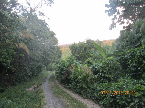 Eighth image of Cromwell Rd, Highgate st in Highgate, St. Mary, Jamaica - property is For Sale