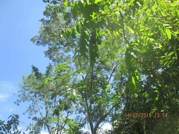 Ninth image of Cromwell Rd, Highgate st in Highgate, St. Mary, Jamaica - property is For Sale