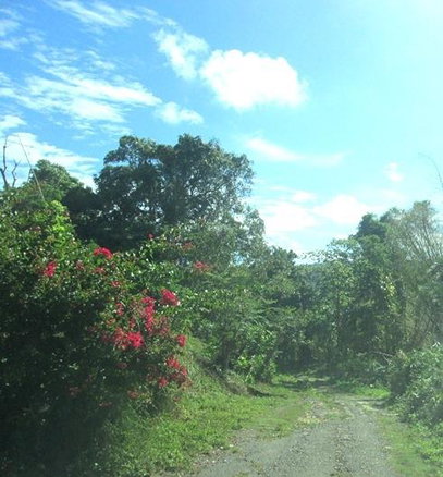 First image of Cromwell Rd, Highgate st in Highgate, St. Mary, Jamaica - property is For Sale