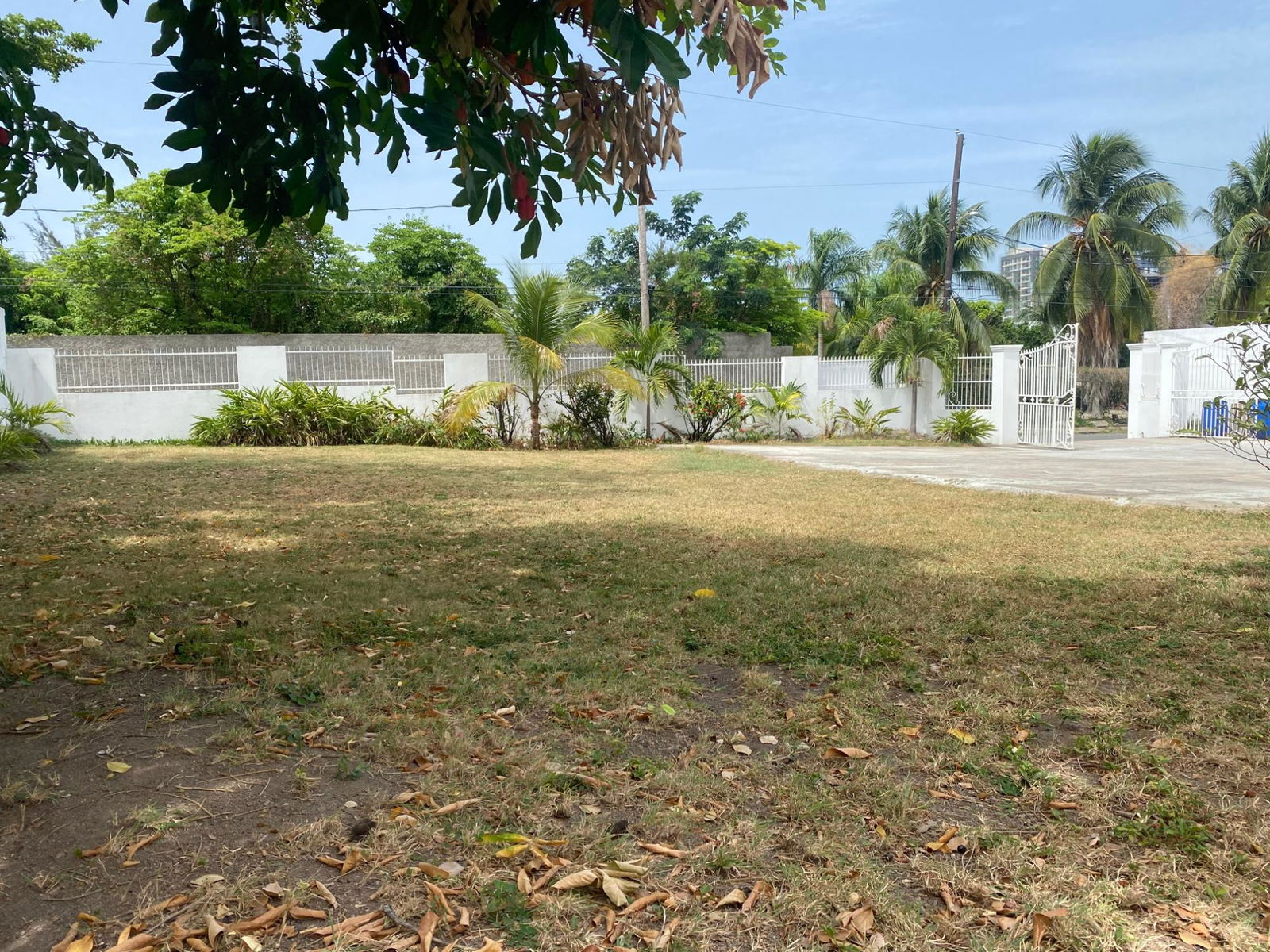 Eighteenth image of 8 Devon Road in Kingston 10, St. Andrew, Jamaica - property is For Sale