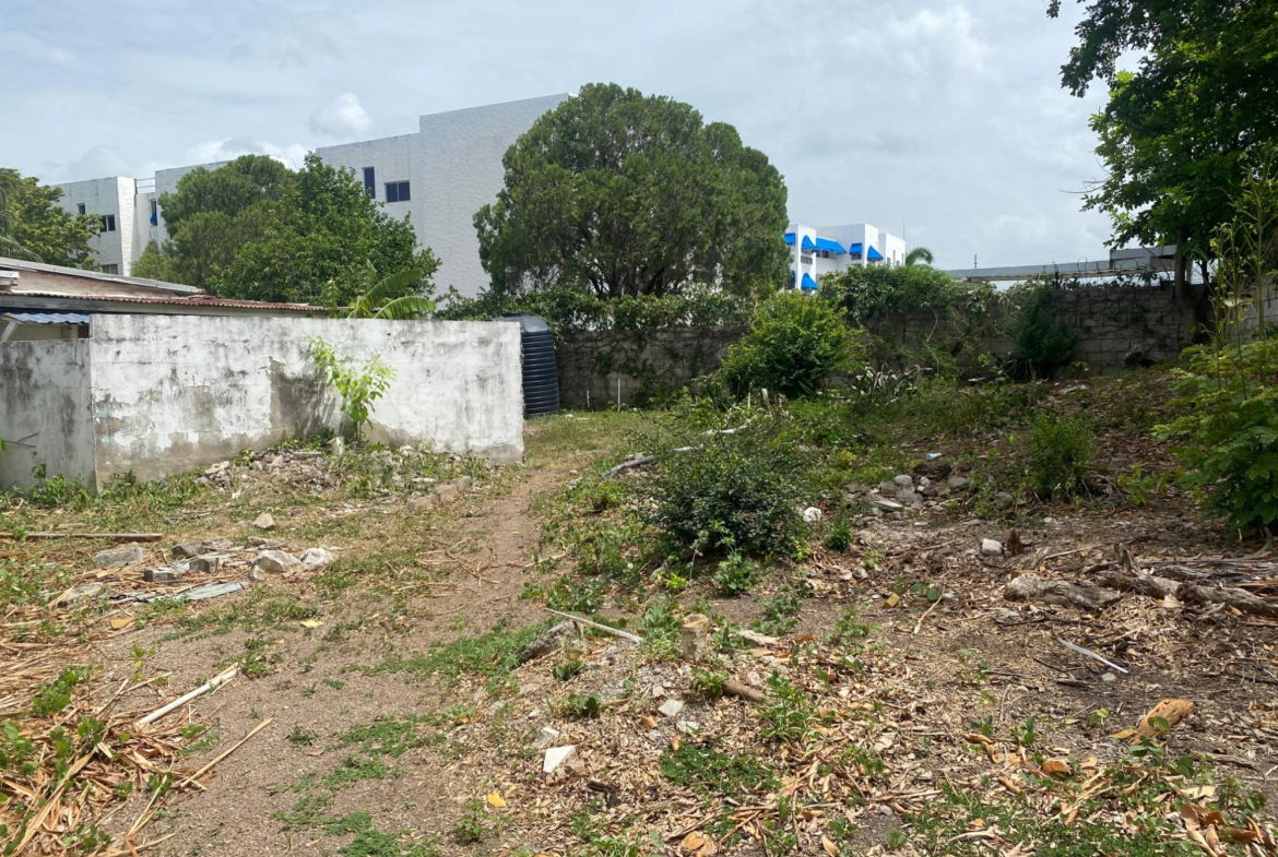 Nineteenth image of 8 Devon Road in Kingston 10, St. Andrew, Jamaica - property is For Sale