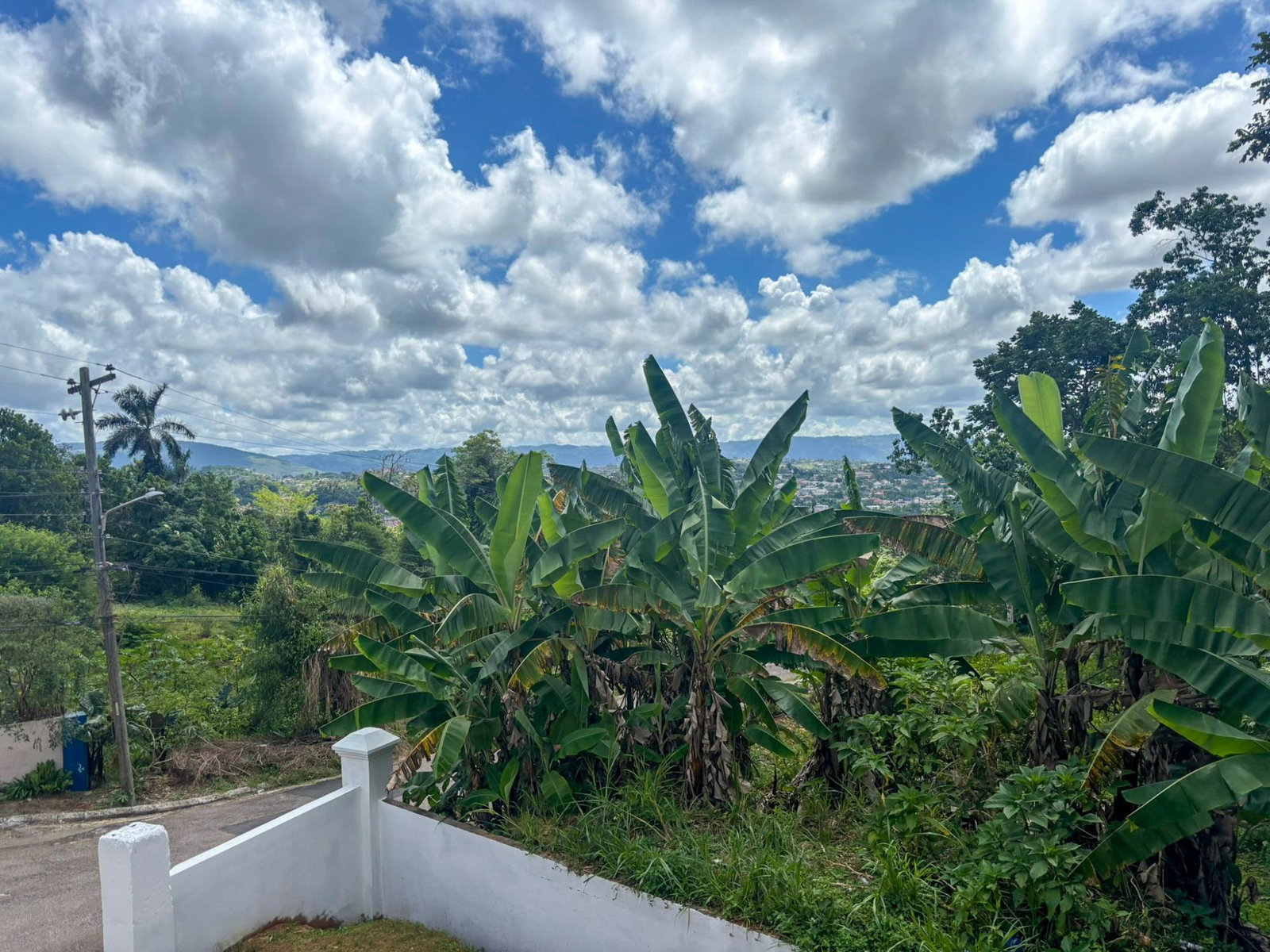 Fifteenth image of Lot 59a Lower Peart's Avenue Gree in Mandeville, Manchester, Jamaica - property is For Sale