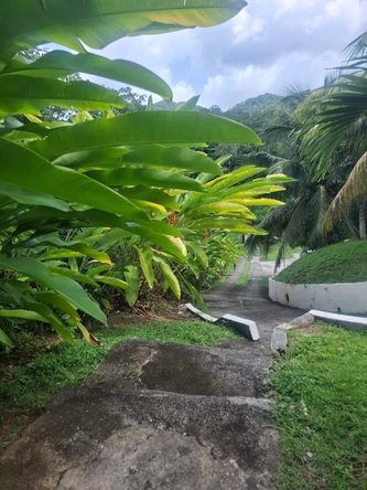 Third image of The Lagoon Spot, Fairly h in Fairy Hill, Portland, Jamaica - property is For Sale