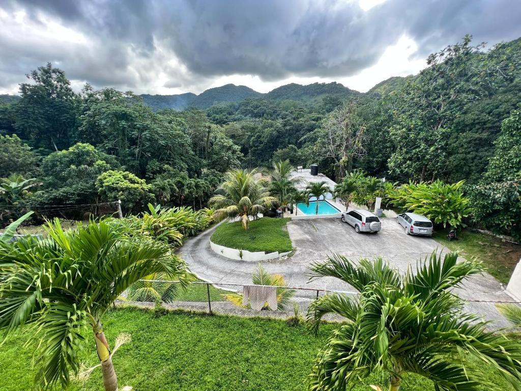 Twenty-First image of The Lagoon Spot, Fairly h in Fairy Hill, Portland, Jamaica - property is For Sale