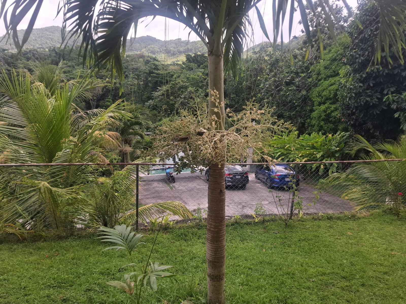 Fourth image of The Lagoon Spot, Fairly h in Fairy Hill, Portland, Jamaica - property is For Sale