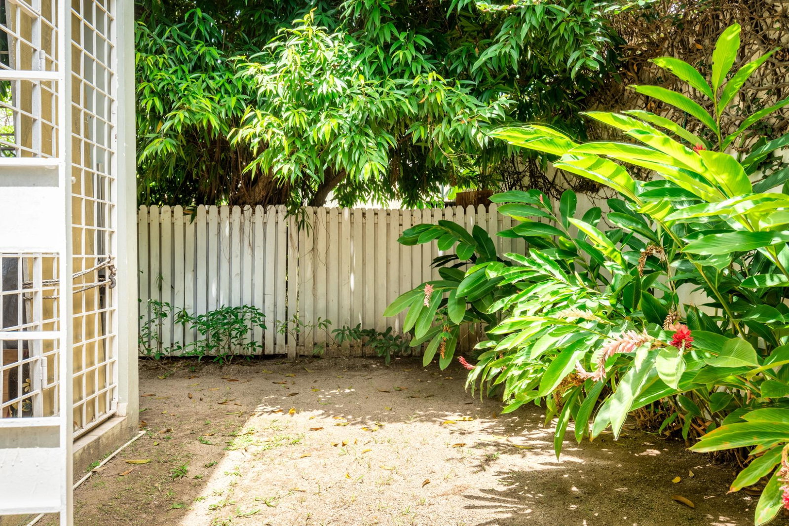 Thirtieth image of 1-30 Norbrook Drive in Constant Spring P.O., St. Andrew, Jamaica - property is For Sale