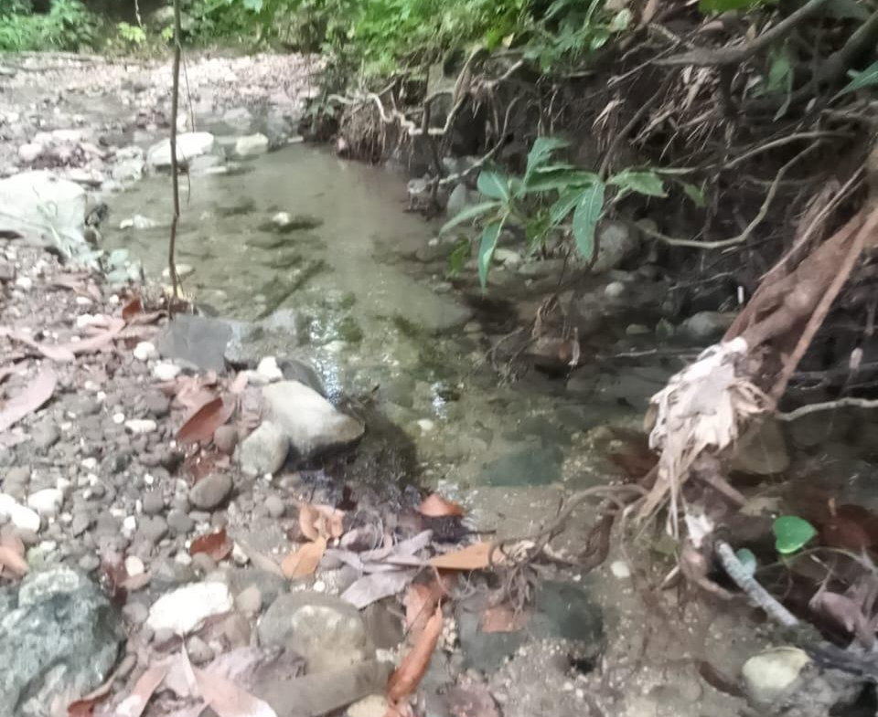 Eleventh image of Lot 6 New Ramble, Free Hill P.o in Free Hill, St. Mary, Jamaica - property is For Sale