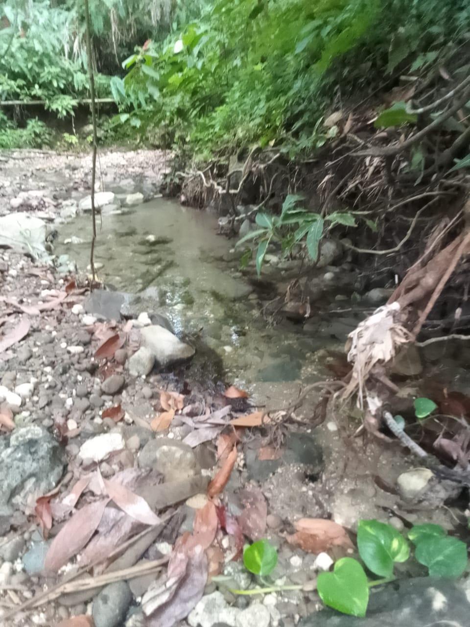 Eleventh image of Lot 6 New Ramble, Free Hill P.o in Free Hill, St. Mary, Jamaica - property is For Sale