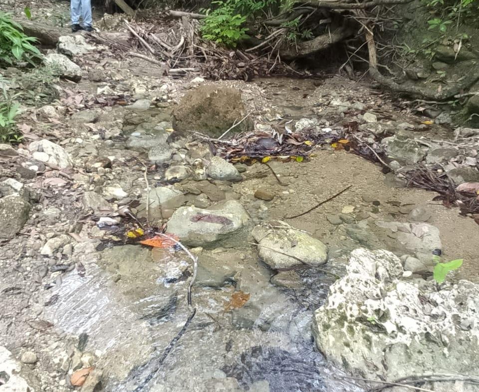 Twelfth image of Lot 6 New Ramble, Free Hill P.o in Free Hill, St. Mary, Jamaica - property is For Sale