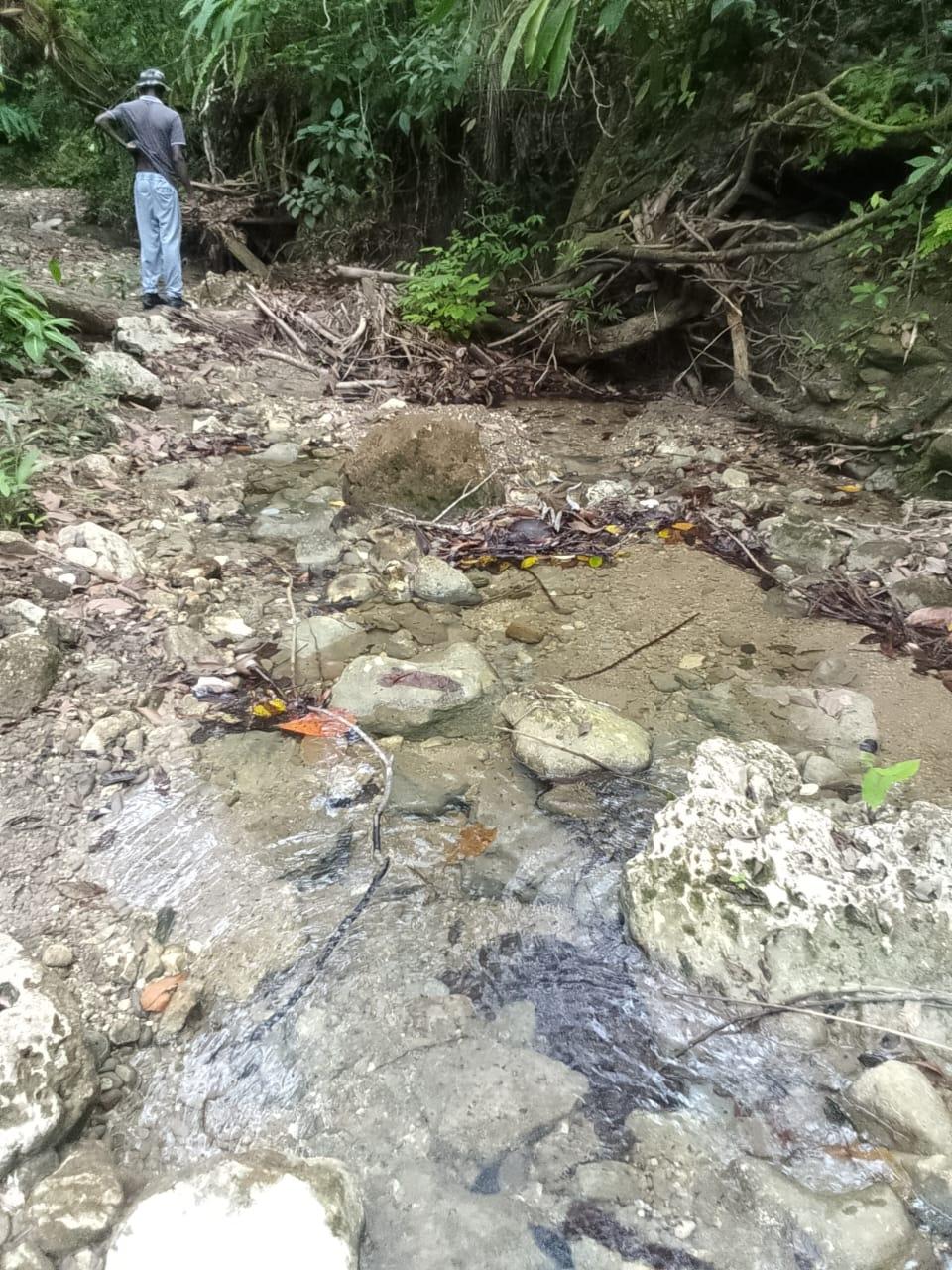 Twelfth image of Lot 6 New Ramble, Free Hill P.o in Free Hill, St. Mary, Jamaica - property is For Sale